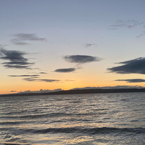 Meet your Posher, Alexia